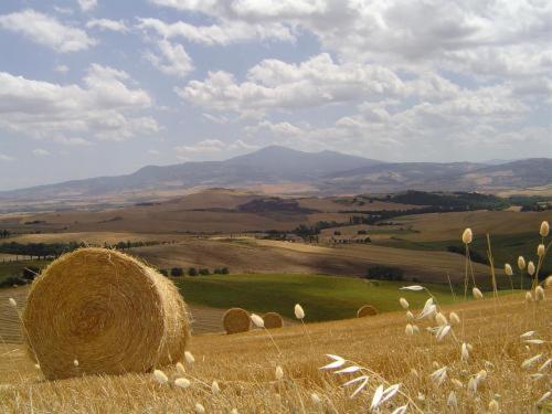 Agriturismo Colombaiolo Pienza Exterior foto