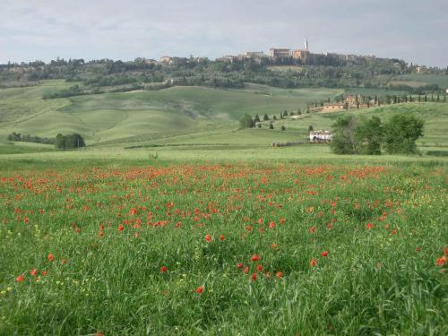 Agriturismo Colombaiolo Pienza Exterior foto